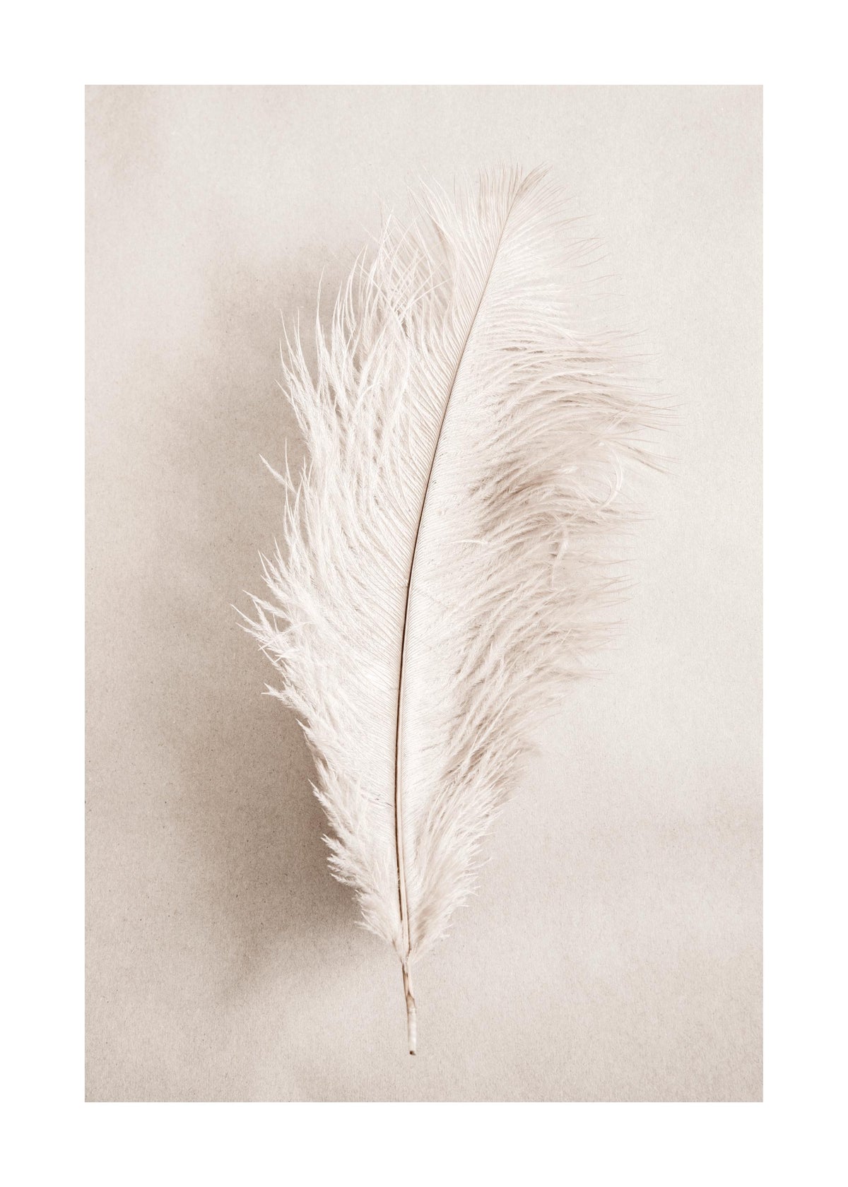 As a Feather Print