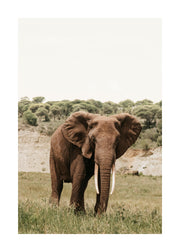 Giant Steps Print