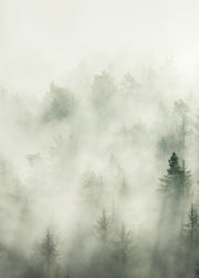 Forest Veil No1 Print