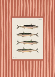 Vintage Mackerel Print