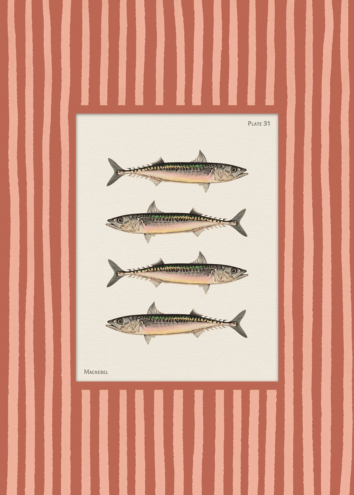 Vintage Mackerel Print