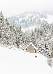 Mountain Cabin Print