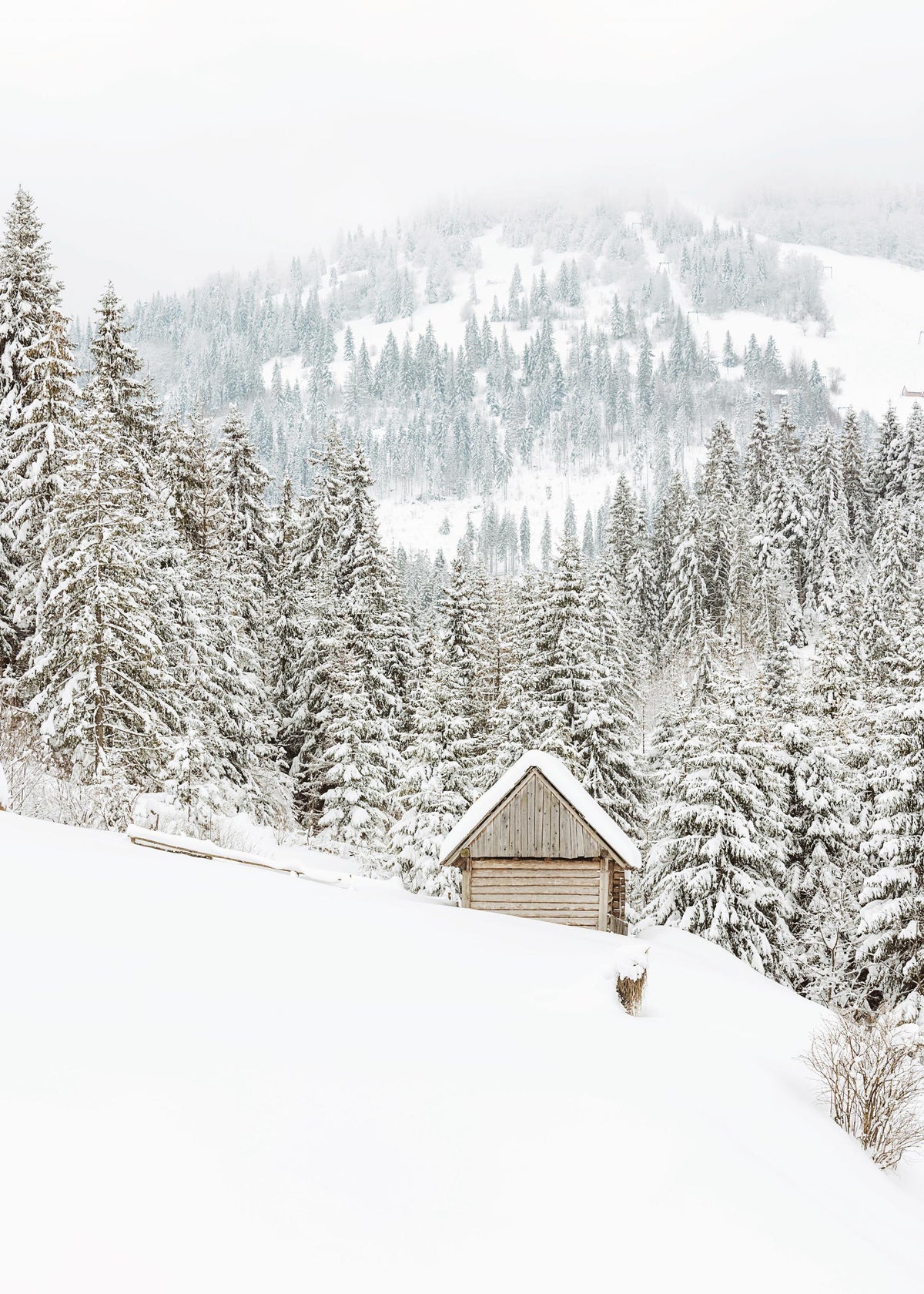 Mountain Cabin Print