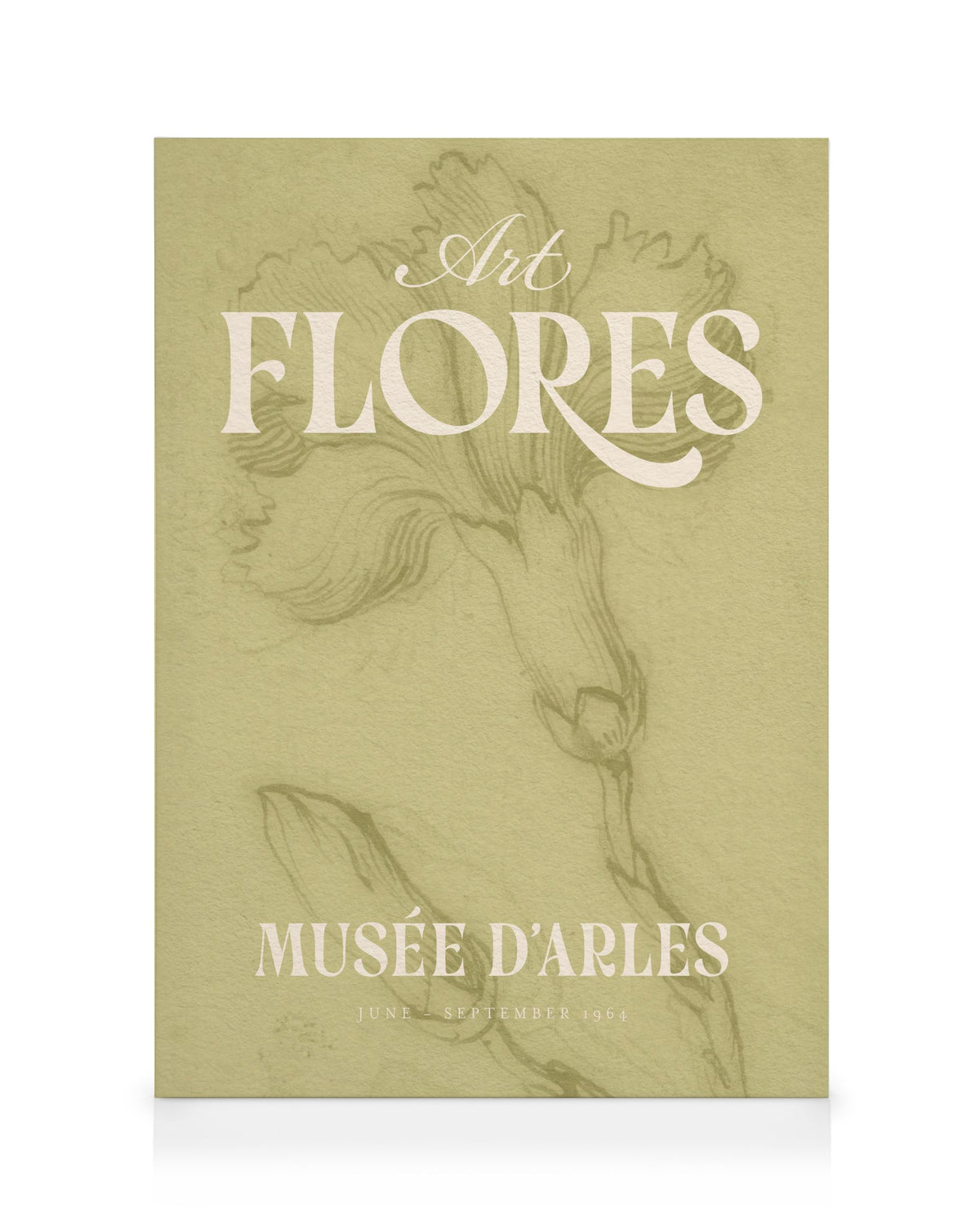 Art Flores Obraz na plátne
