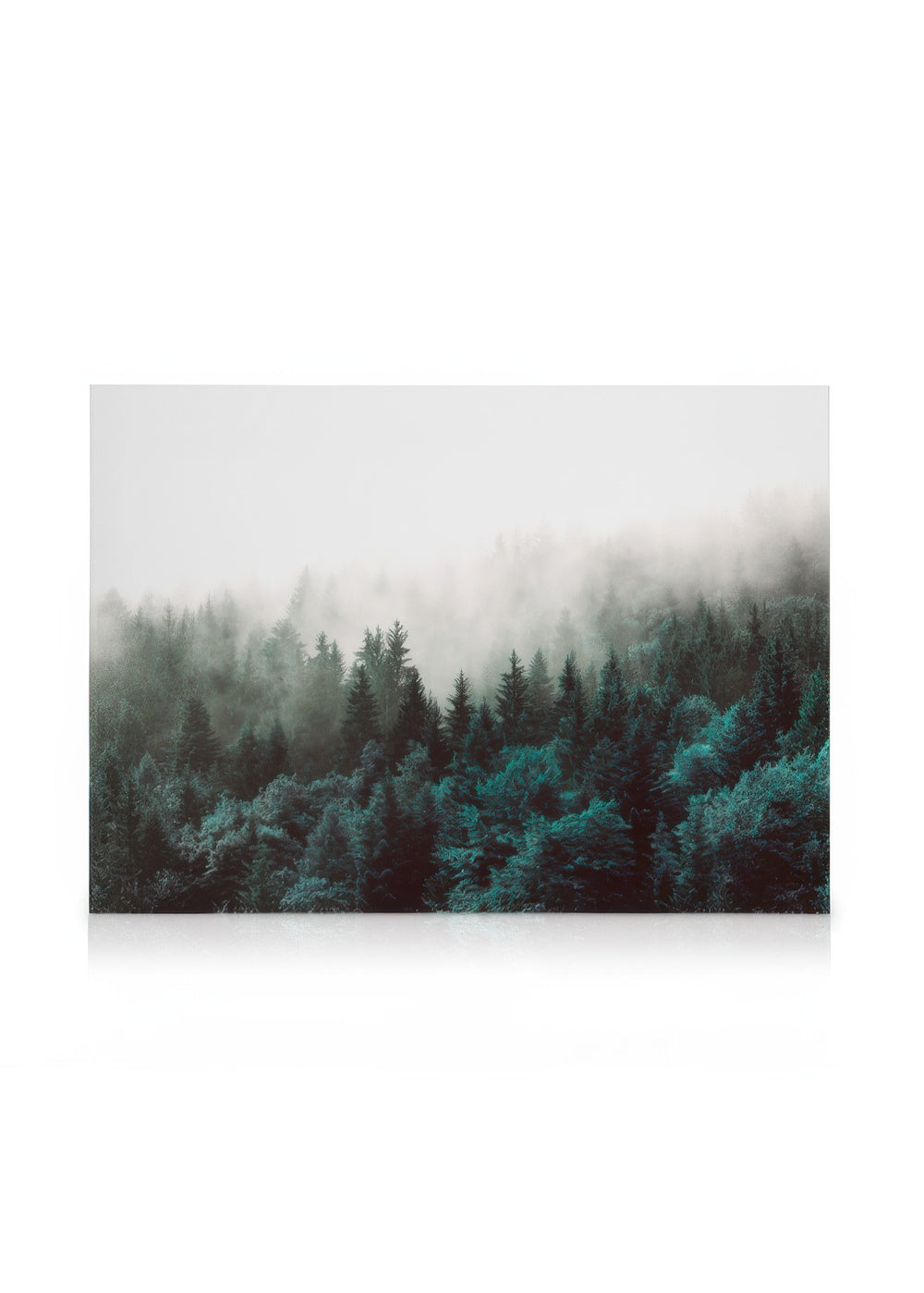 Green Forest Canvas print
