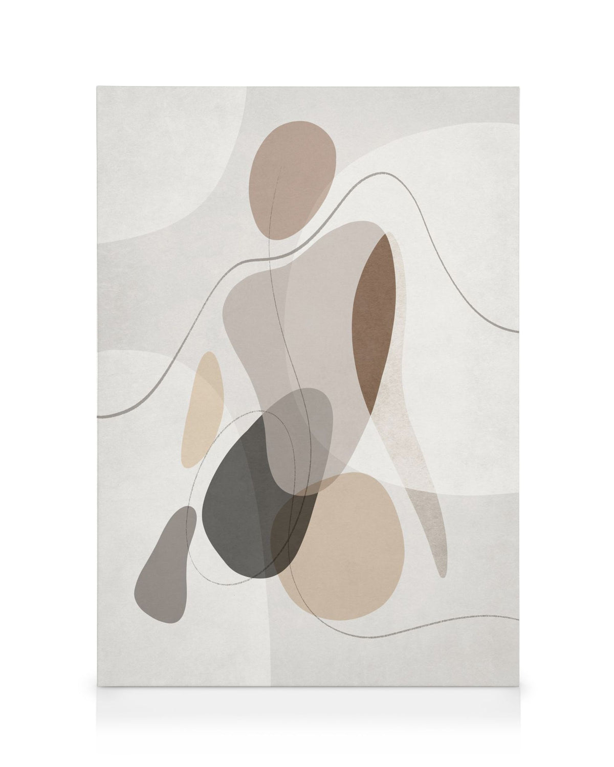 Organic Shapes Figure No1 Canvas print