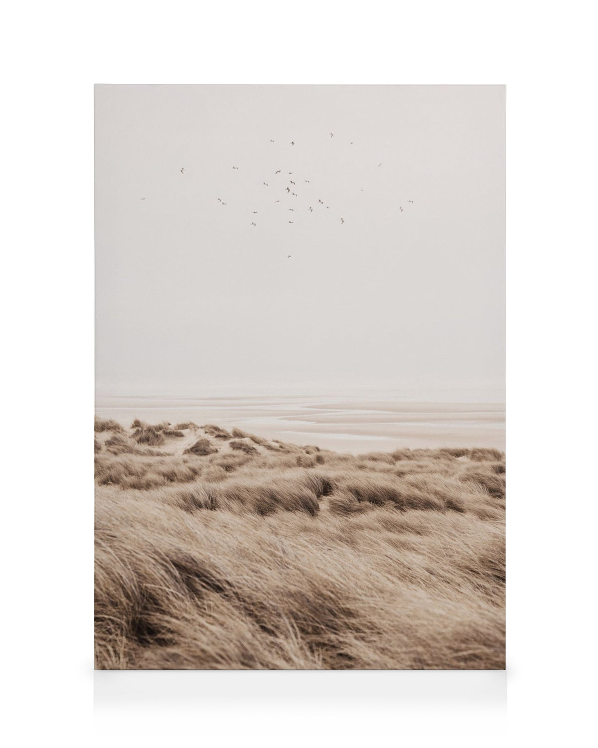 Beige Sand Dunes Canvas print