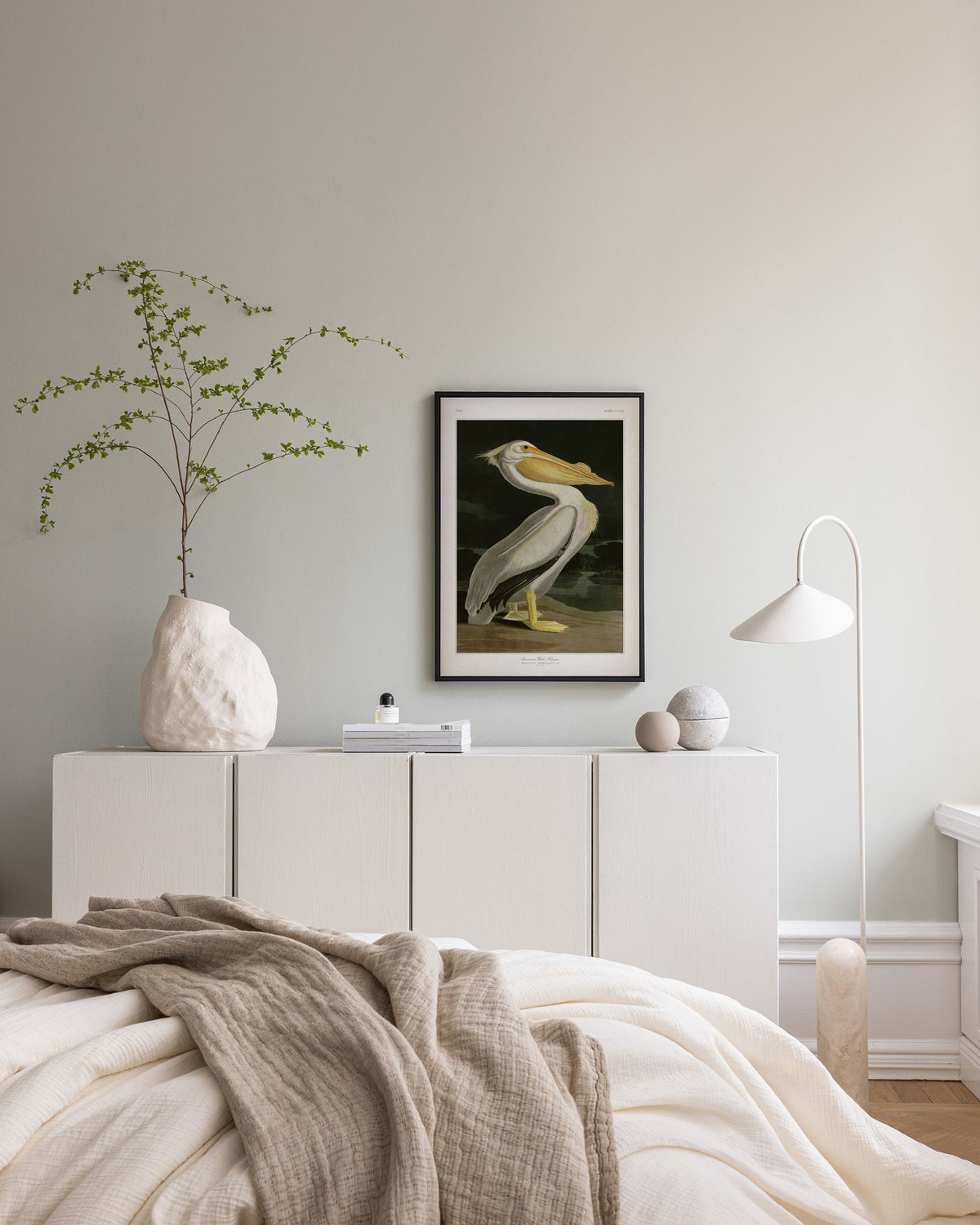 American White Pelican Canvas print