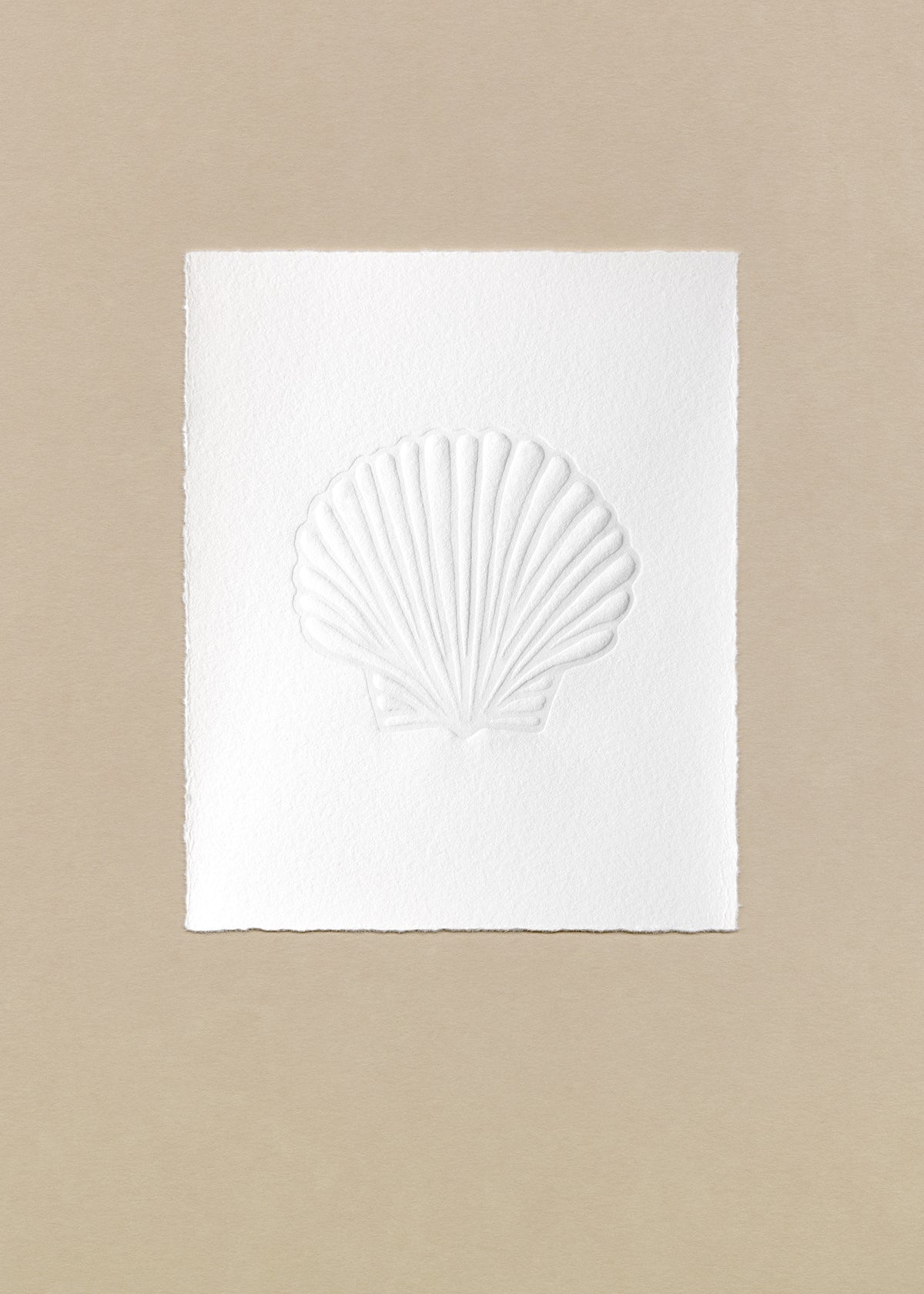 Embossed Scallop Juliste