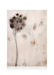Dried Flowers Art No2 Canvas print