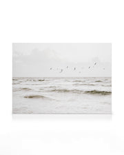 Flock of Seabirds Canvas print