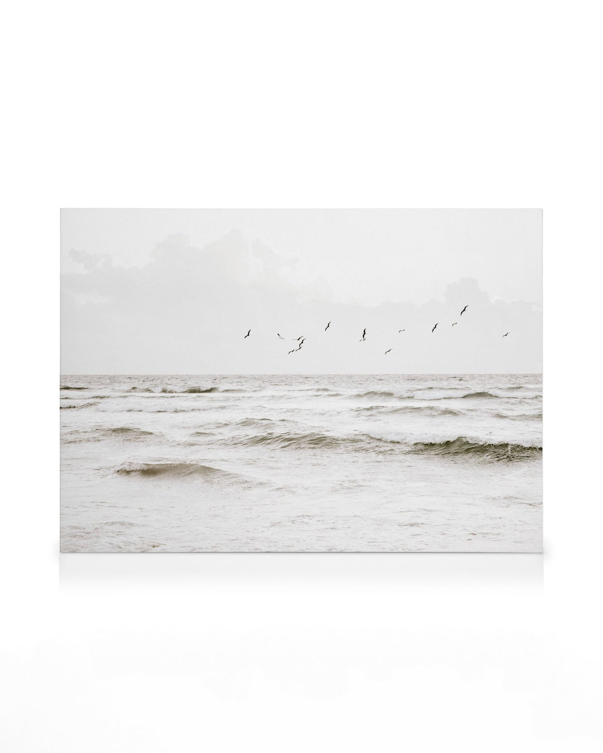 Flock of Seabirds Canvas print