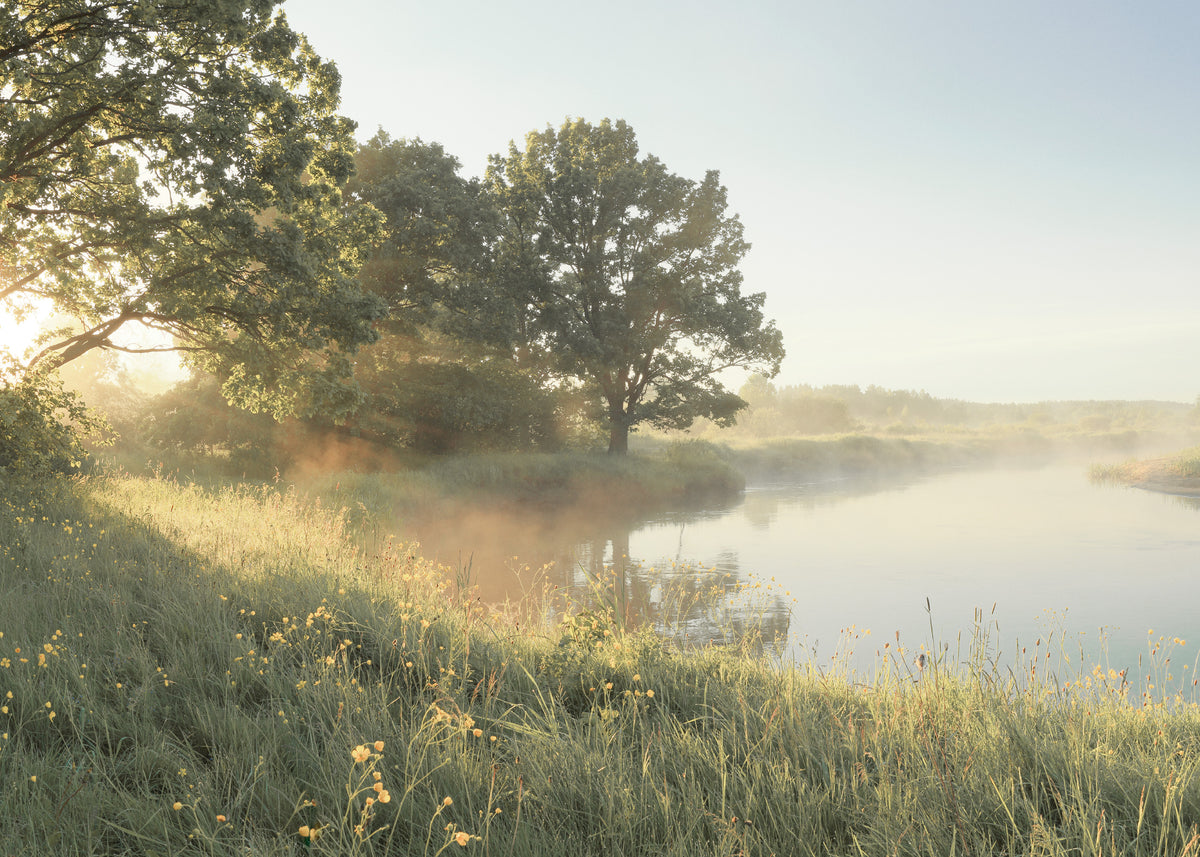 Soft Morning Light Print