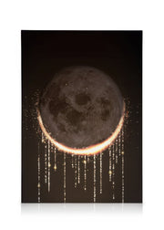 Lunar Eclipse Canvas print