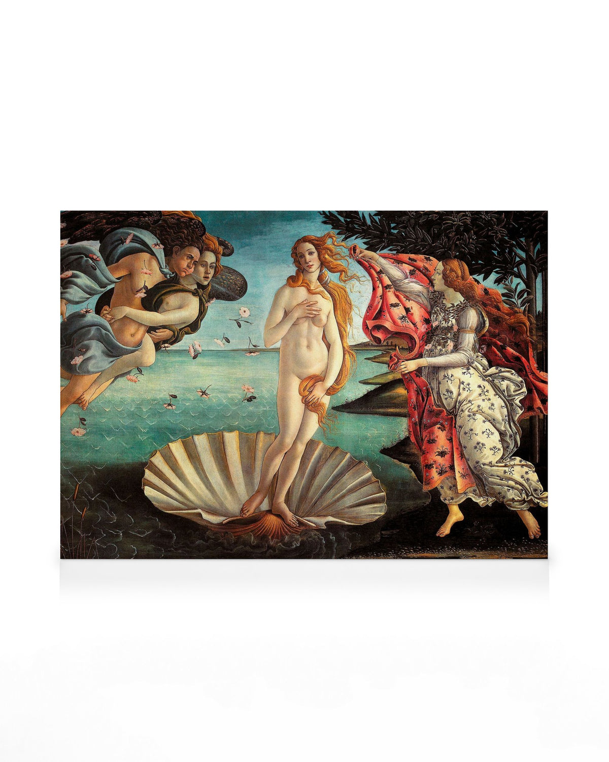 Sandro Botticelli - Birth of Venus Canvas print