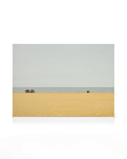 Field of Gold Canvas print
