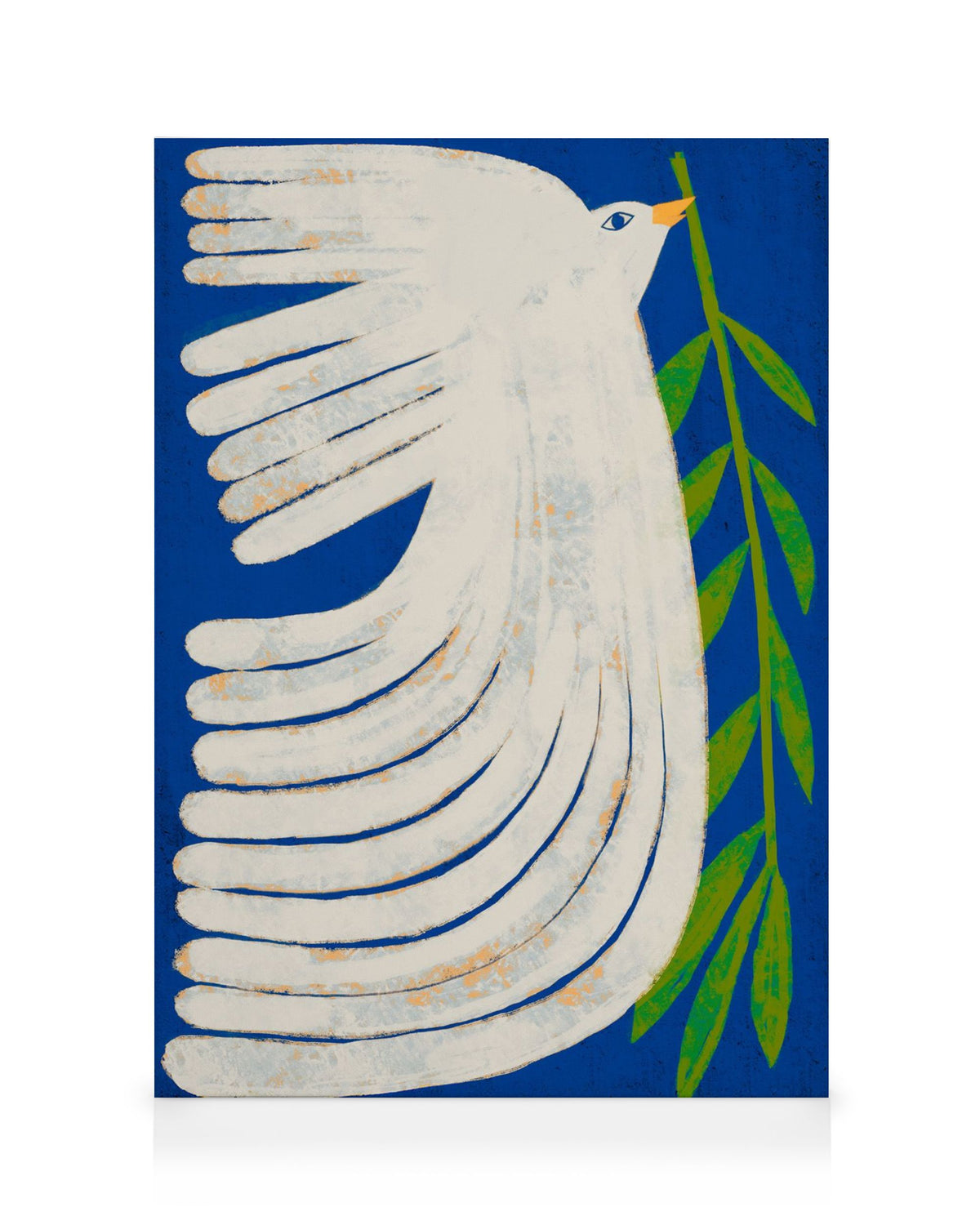 Marco Marella - Peace Dove Canvas print