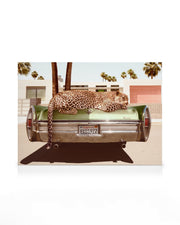 Chilling Leopard Canvas