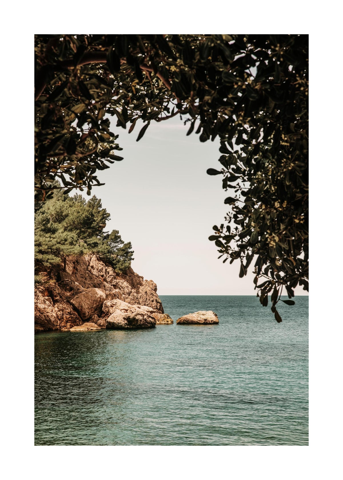 Organic Arch Print