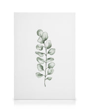 Watercolor Eucaluptus Canvas print