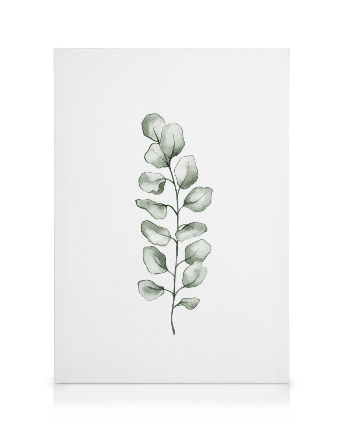 Watercolor Eucaluptus Canvas print