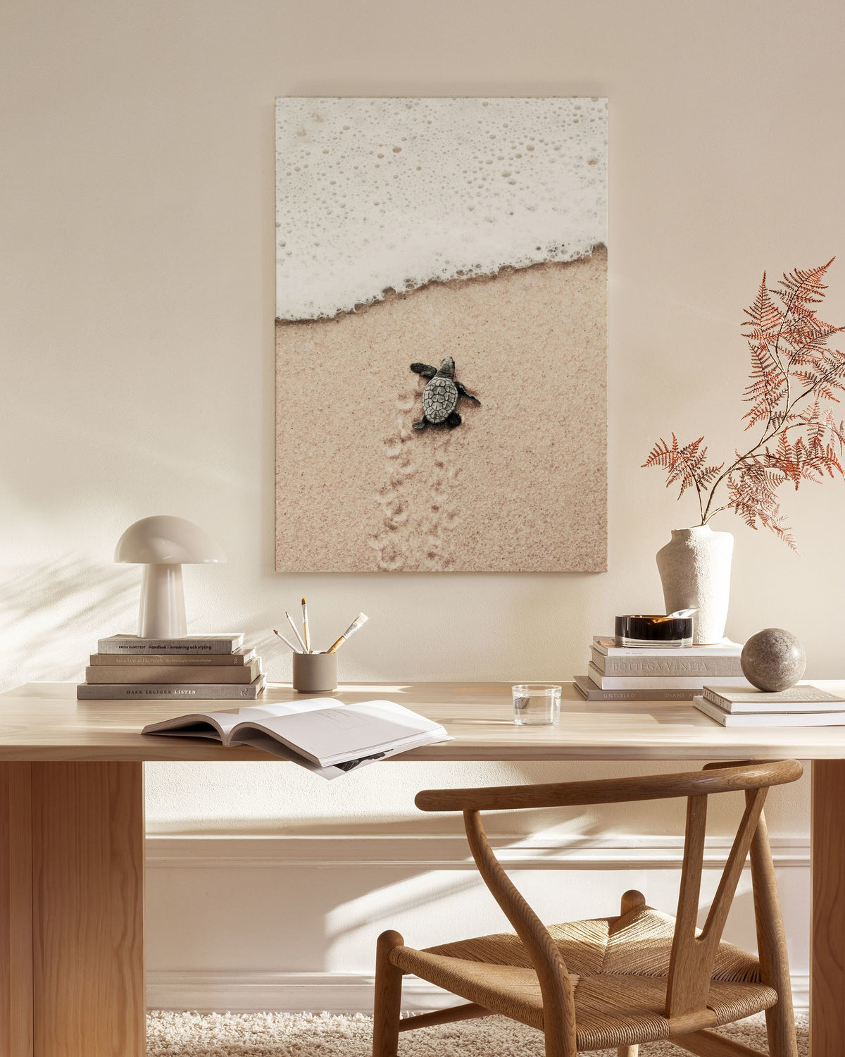 Baby Turtle Canvas print