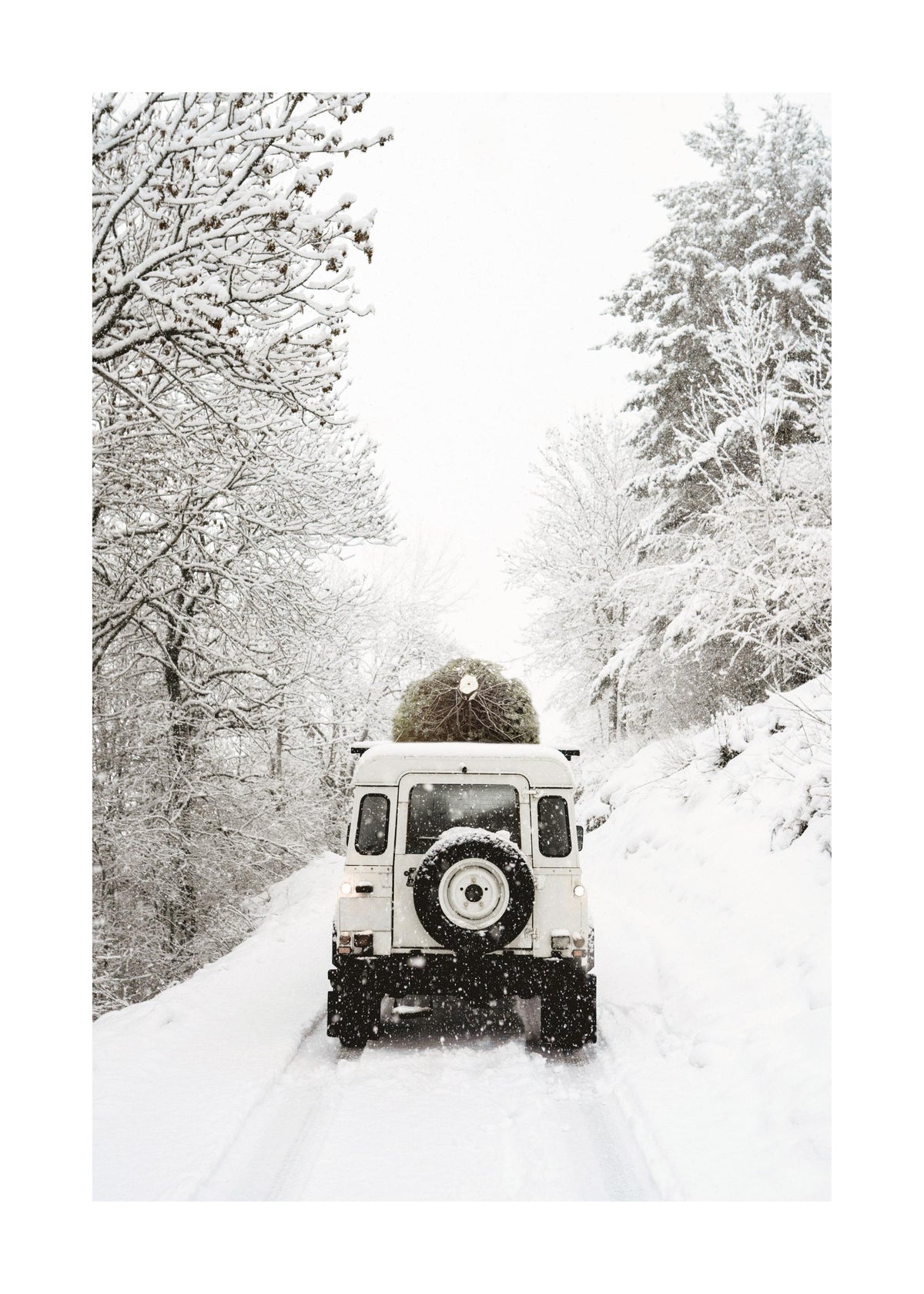 Holiday Delivery Print