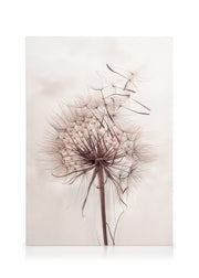 Delicate Dandelion Canvas print