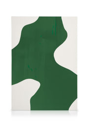 Green Shape Canvas print