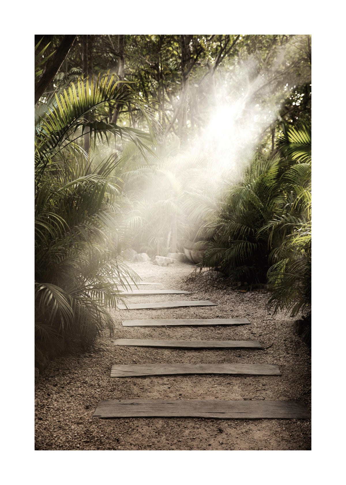 Secret Path Print