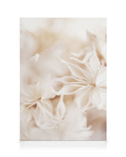 Floral Bokeh Canvas print