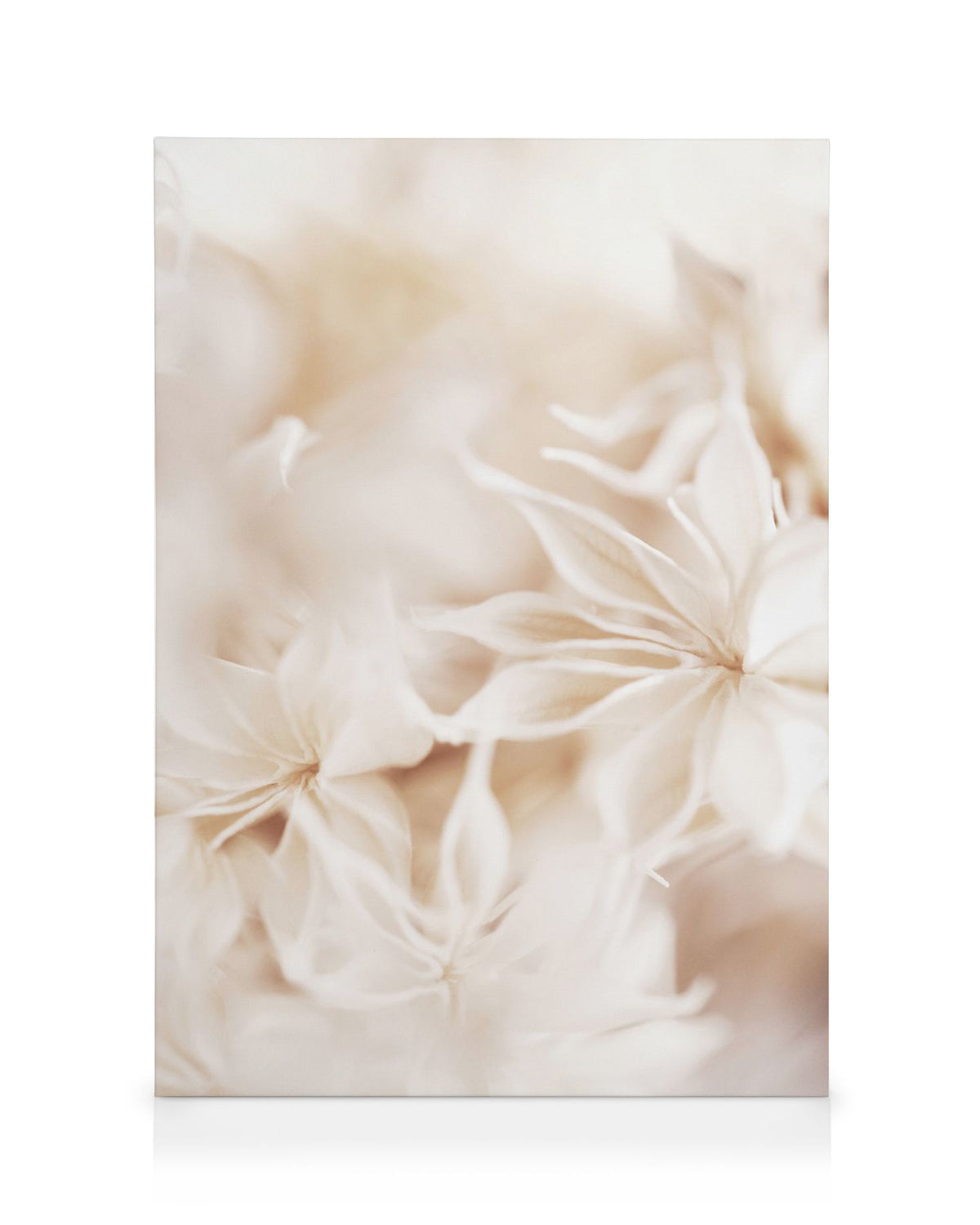 Floral Bokeh Canvas print
