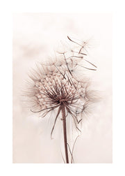 Delicate Dandelion Print