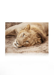 King of the Savannah Canvas print