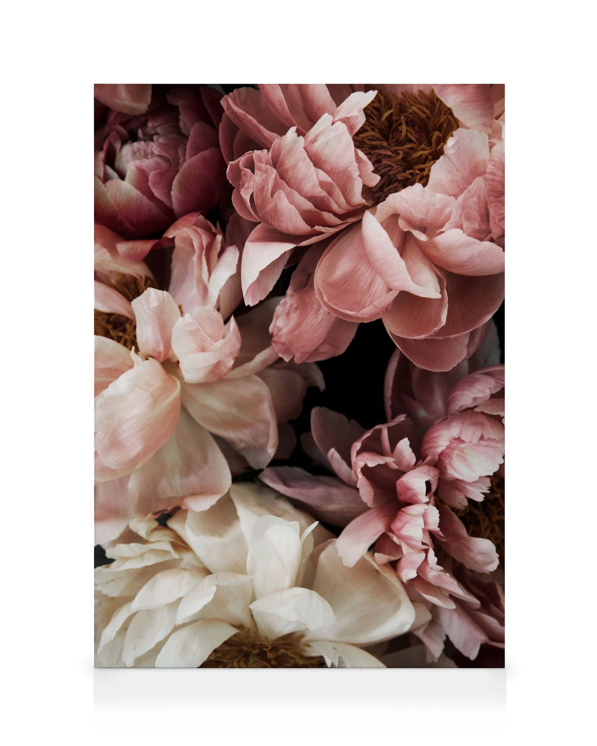 Flower Wall Canvas print