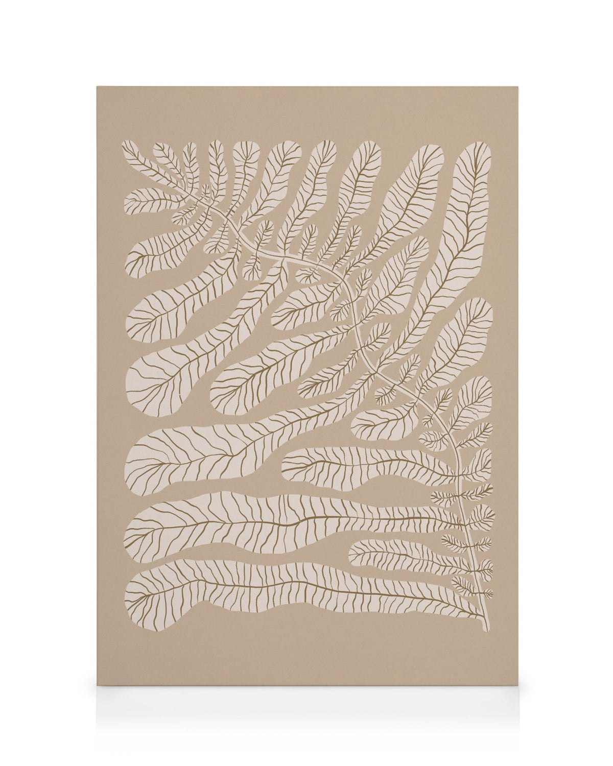 One Hundred - Leaved Plant No2 Canvas print
