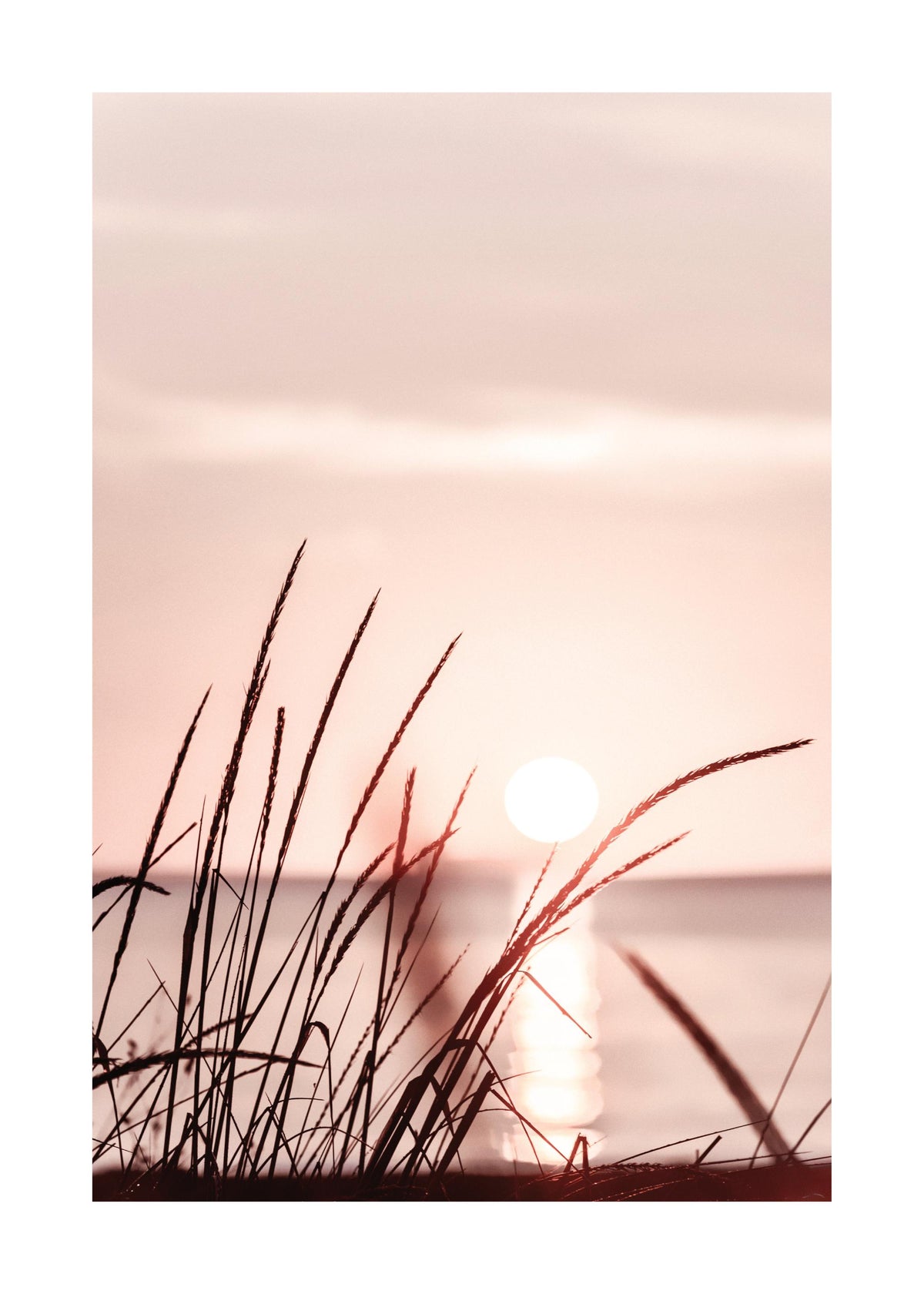 Sunset Grass Print