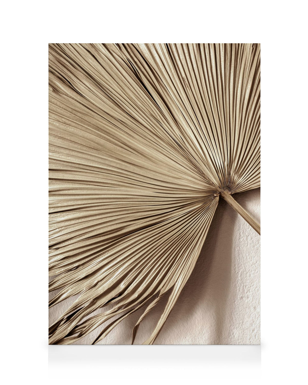 Golden Palm Leaf No1 Canvas print