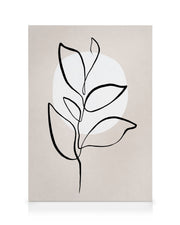 Botanical Lines No2 Canvas print