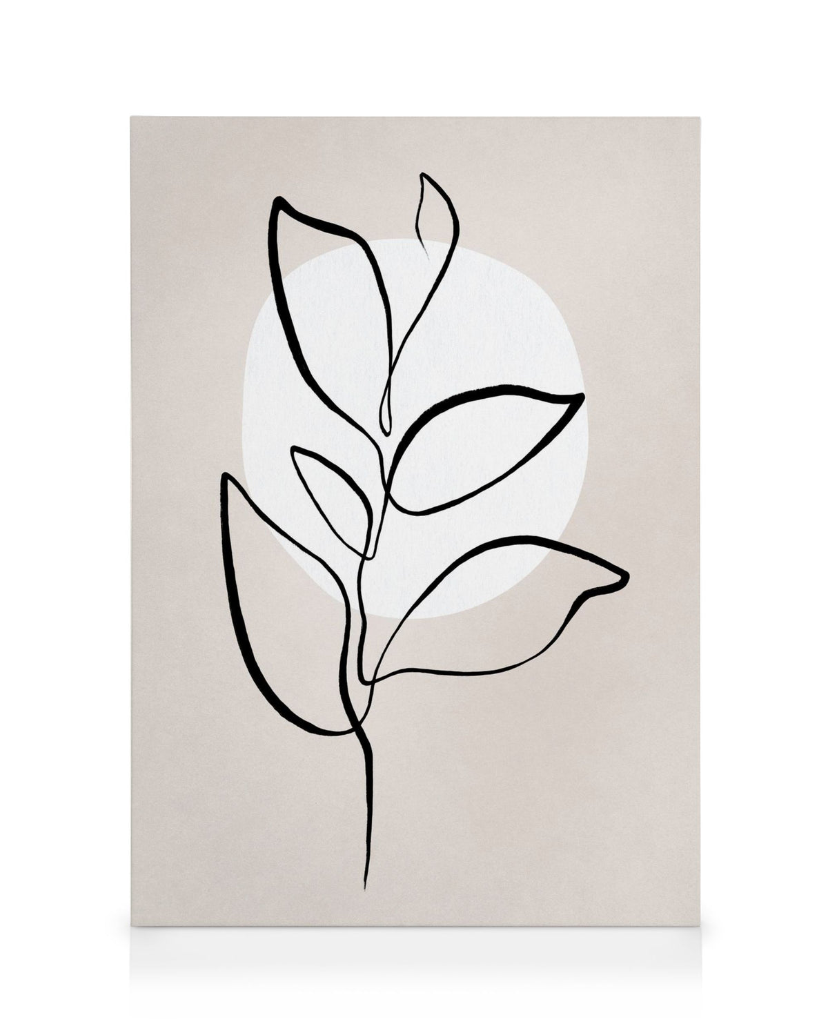 Botanical Lines No2 Canvas print