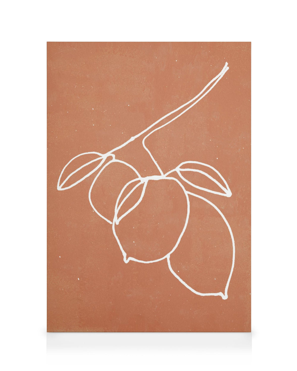 Limoni dell'Orto Canvas print