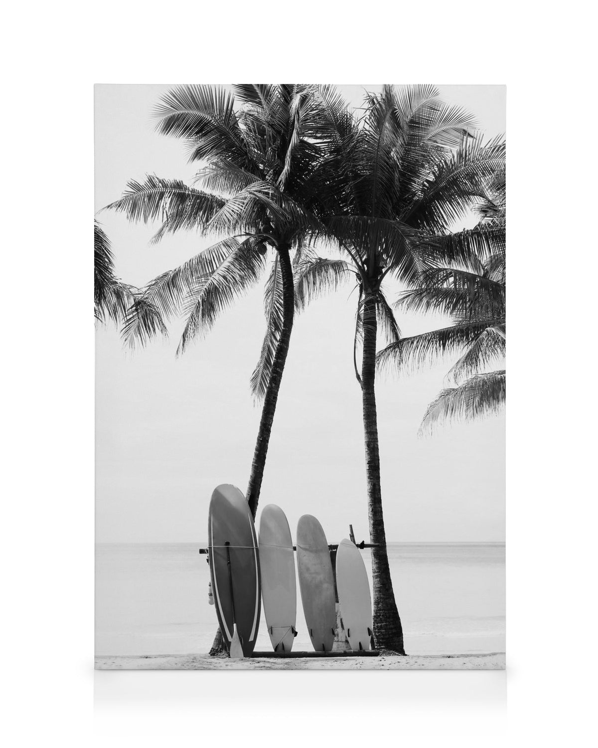 Surfboards BW Canvas print