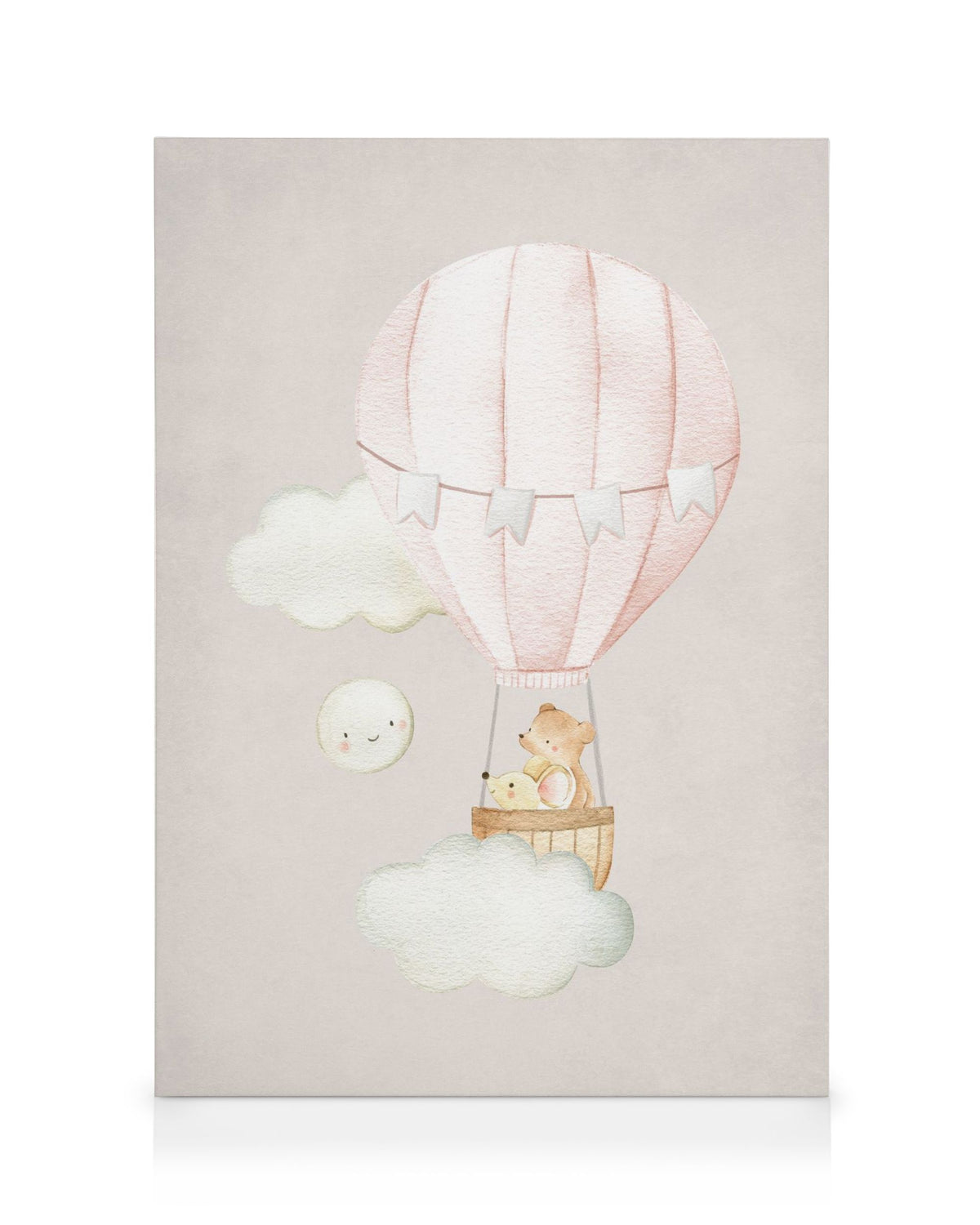 Hot Air Balloon No2 Canvas print