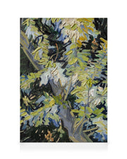 Van Gogh - Blossoming Acacia Branches Canvas print