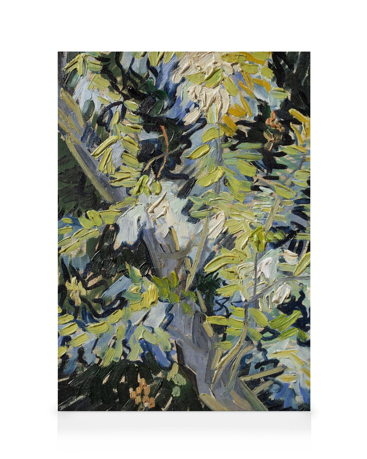 Van Gogh - Blossoming Acacia Branches Canvas print