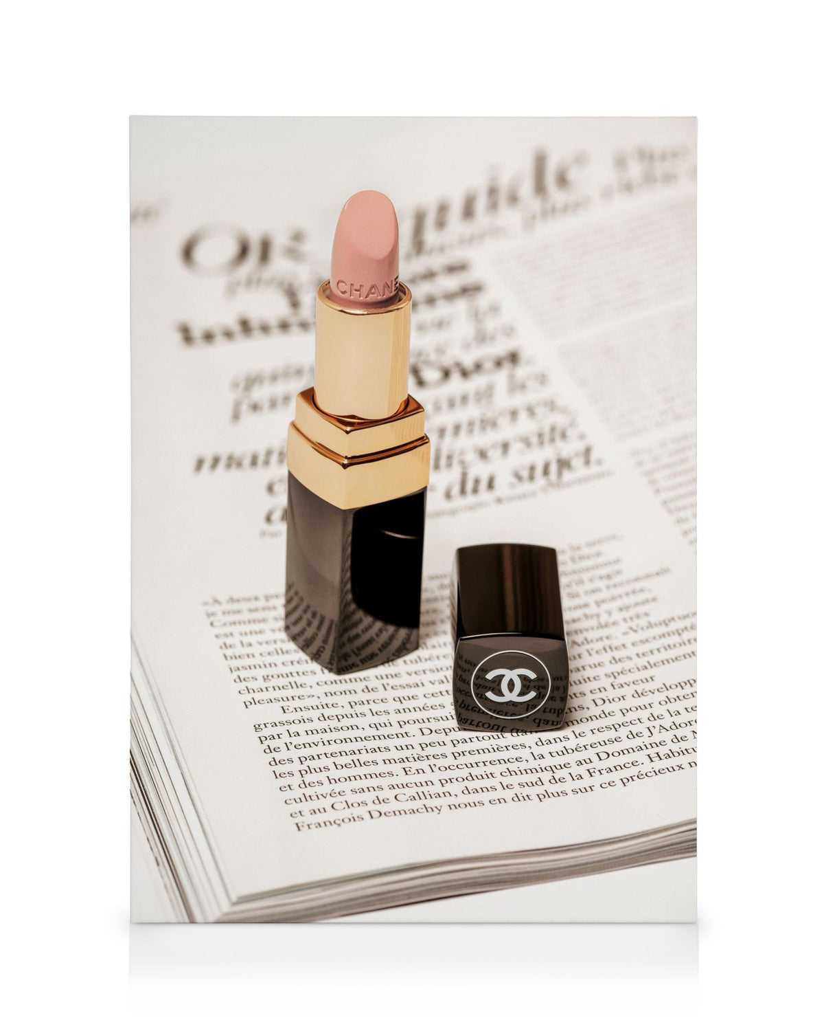 Chanel Lipstick Canvas print