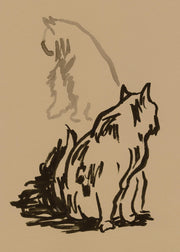Study of Cat Print