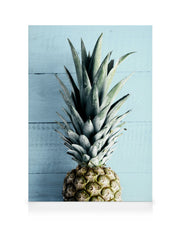Pineapple Top Canvas print