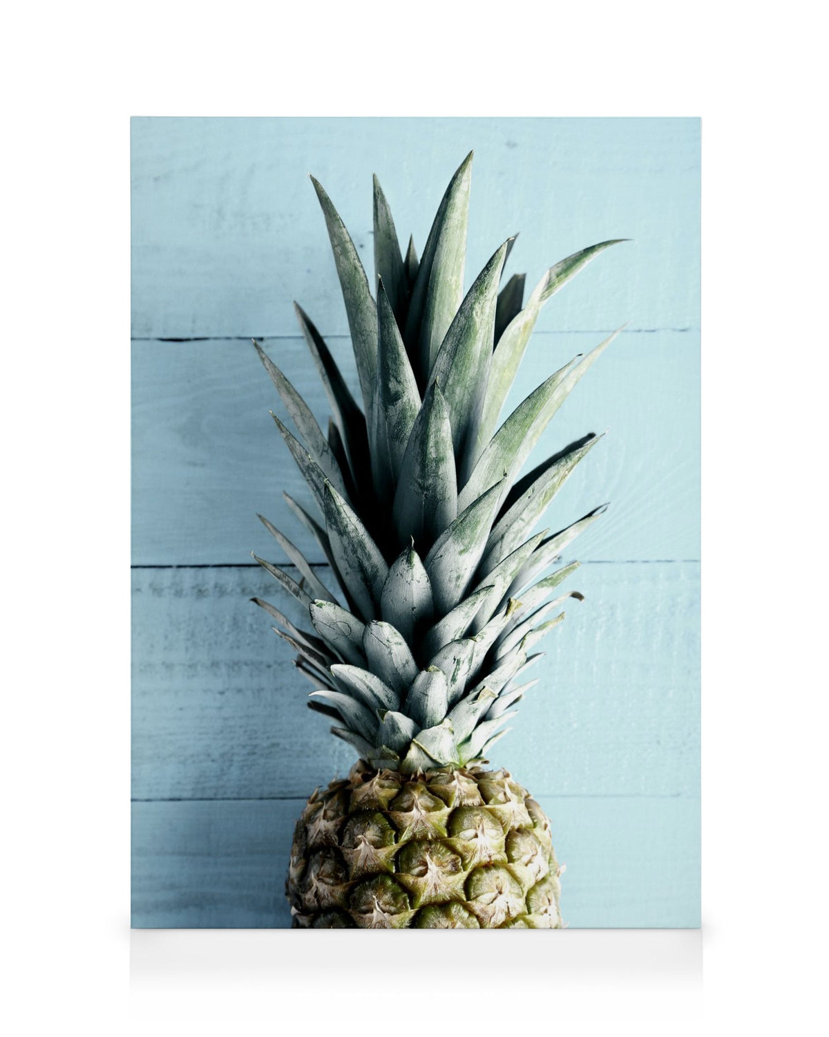 Pineapple Top Canvas print