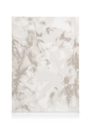 Soft Abstract No2 Canvas print